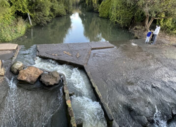 fishway at turrella