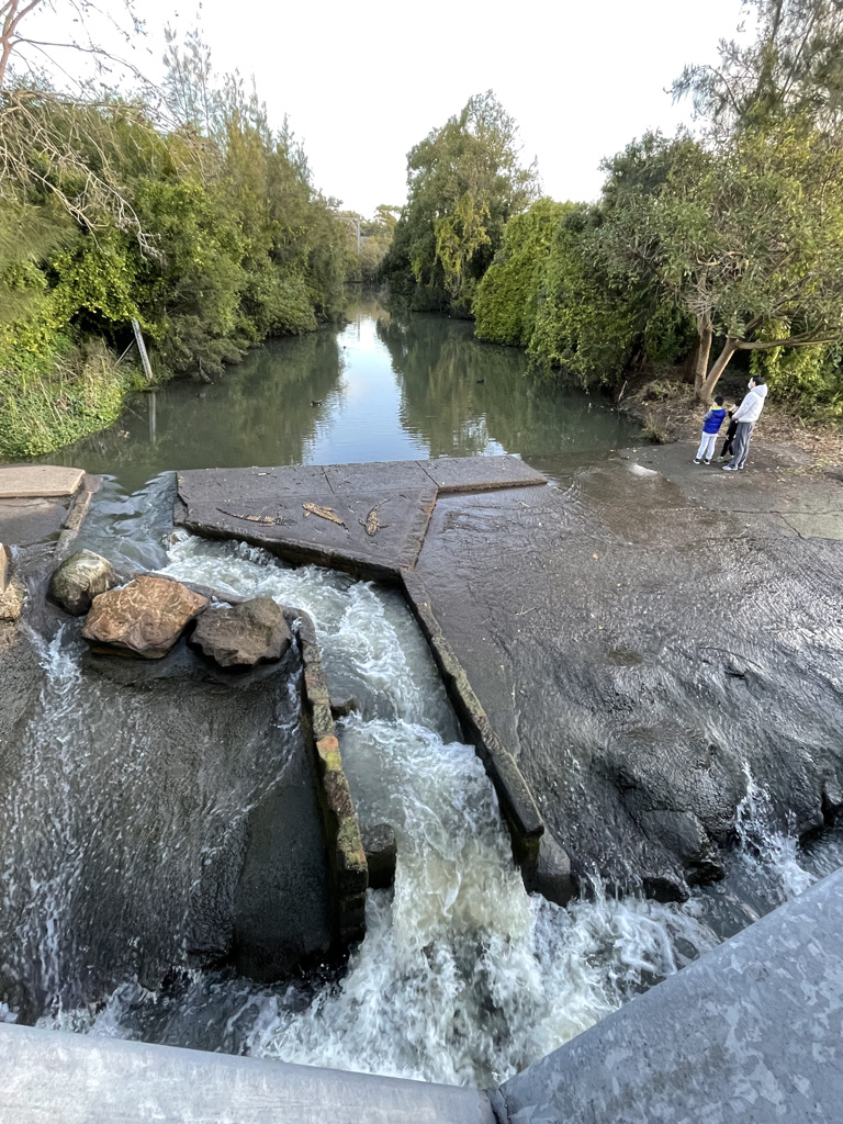 fishway at turrella