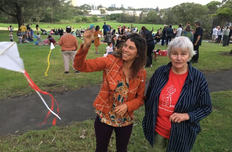 Bat picnic kite flying