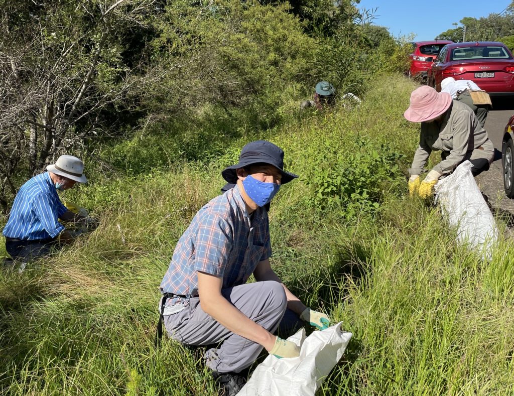 bushcare