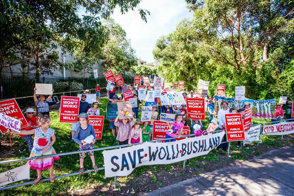 Save Wolli bushland