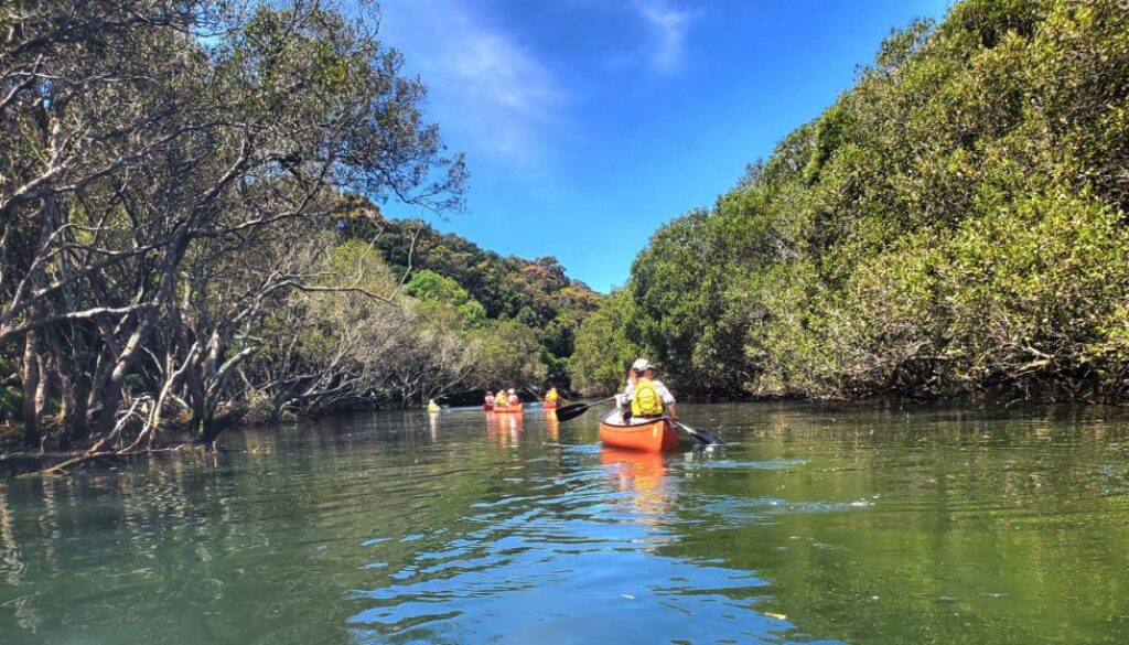 Paddlers