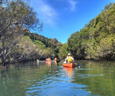 Paddlers