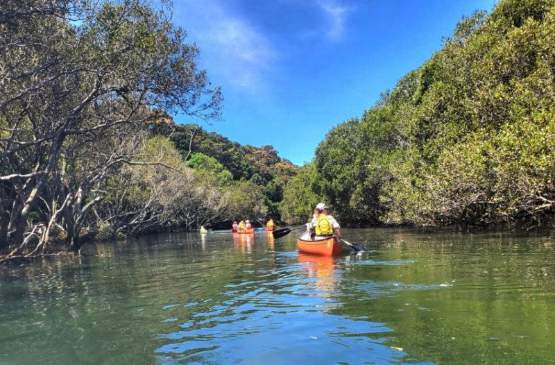 Paddlers