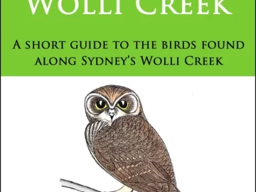 Intro Birds Wolli Creek
