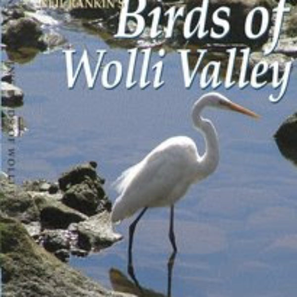 Neil Rankin’s Birds of Wolli Valley