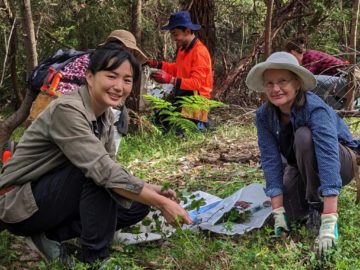 bushcare group