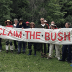 reclaim the bush