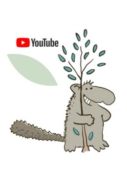 Wolli possum youtube