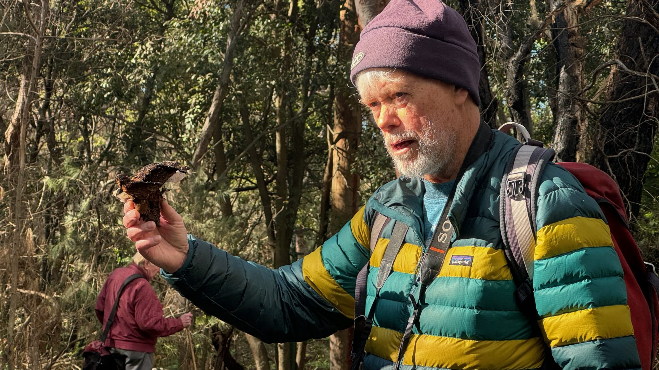 Dave Noble fungi expert