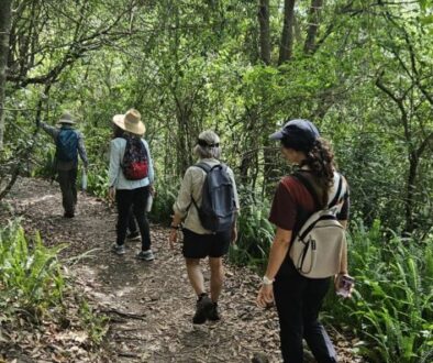 Walk photo Bexley to Tempe Nov 24 1