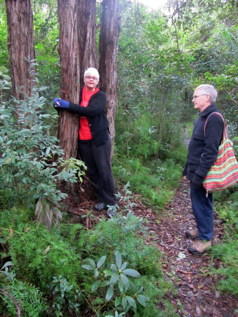 Deb hugs tree 2012