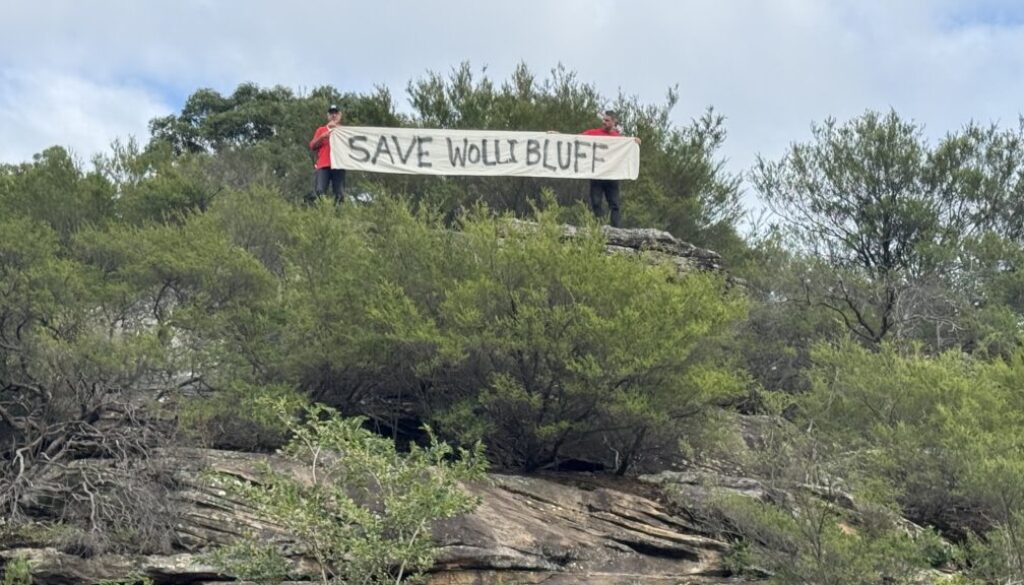 Wolli Bluff sign