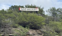 Wolli Bluff sign