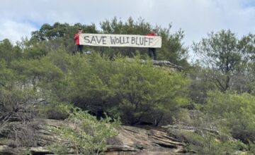 Wolli Bluff sign