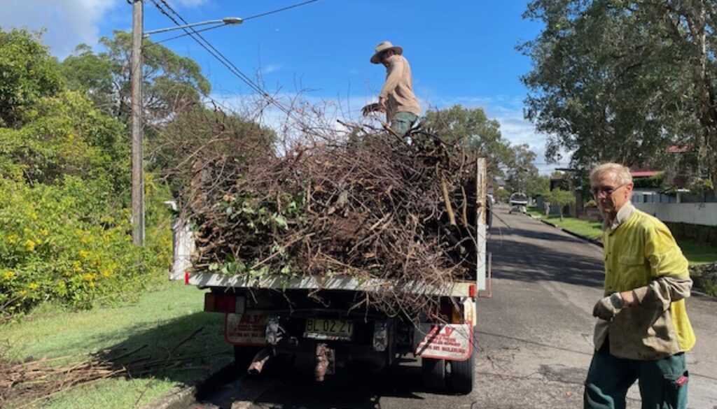 bushcarer and truck full of cuttings