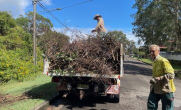 bushcarer and truck full of cuttings