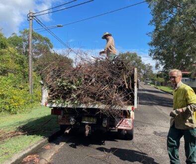 bushcarer and truck full of cuttings