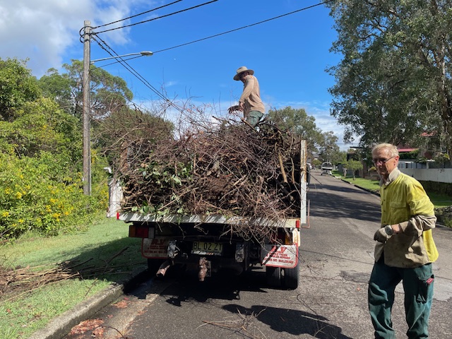 bushcarer and truck full of cuttings
