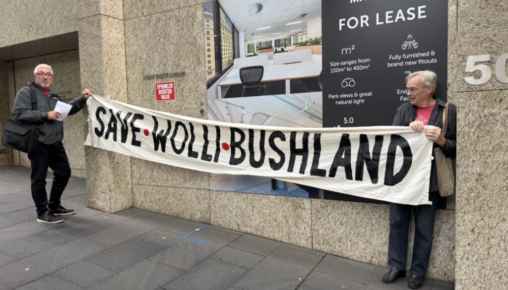 Save Wolli Bushland banner