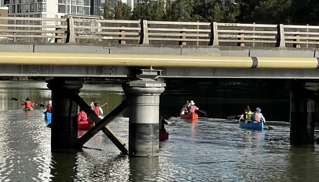 Paddlers on the Cooks River