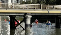 Paddlers on the Cooks River