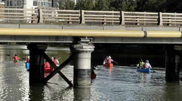 Paddlers on the Cooks River