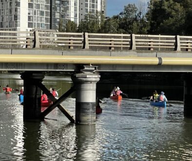 Paddlers on the Cooks River