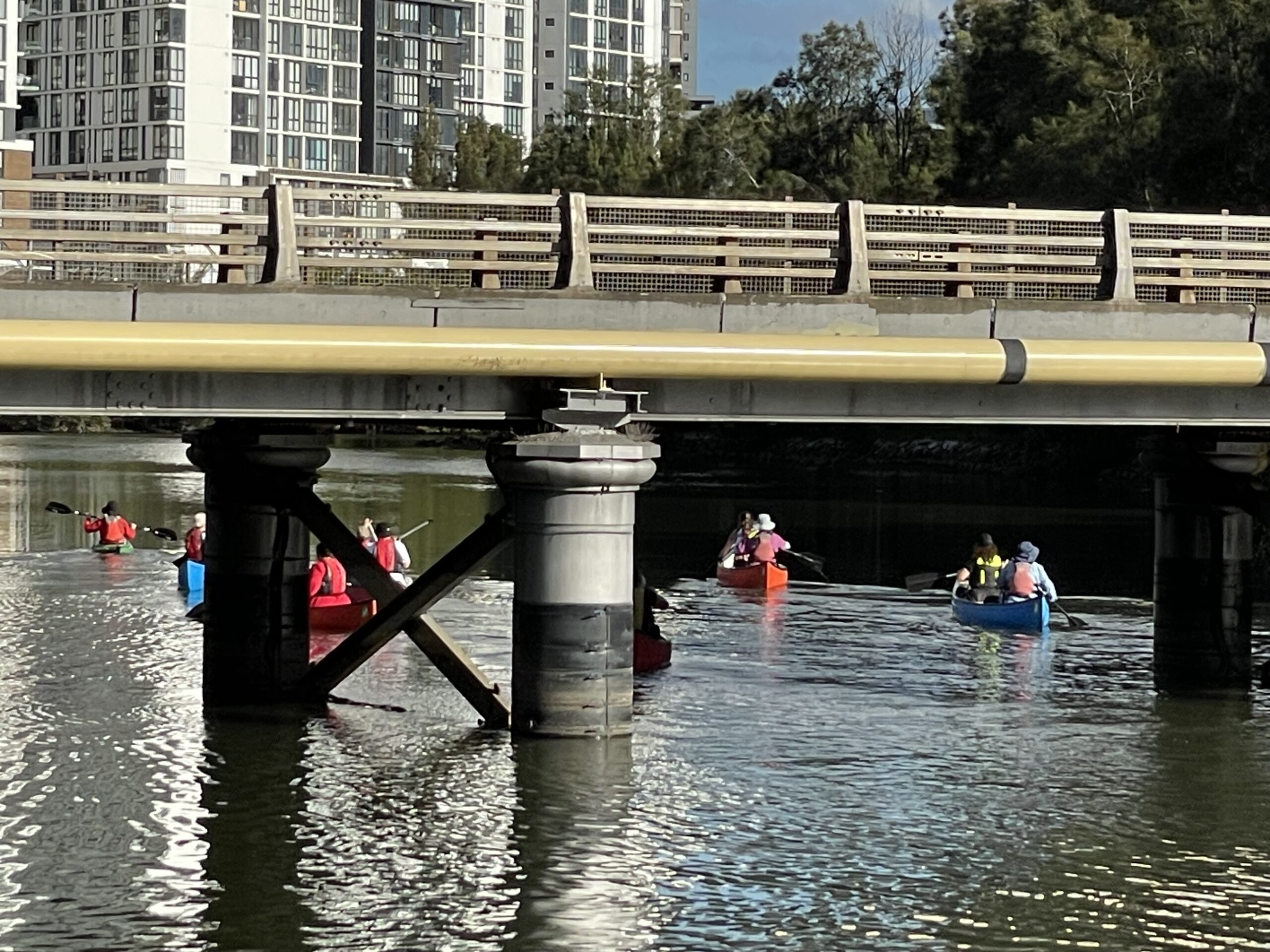 Paddlers on the Cooks River