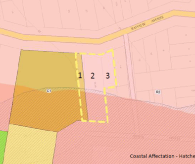 Land sell off at Bluff