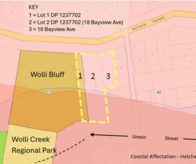 map of land near Wolli Bluff