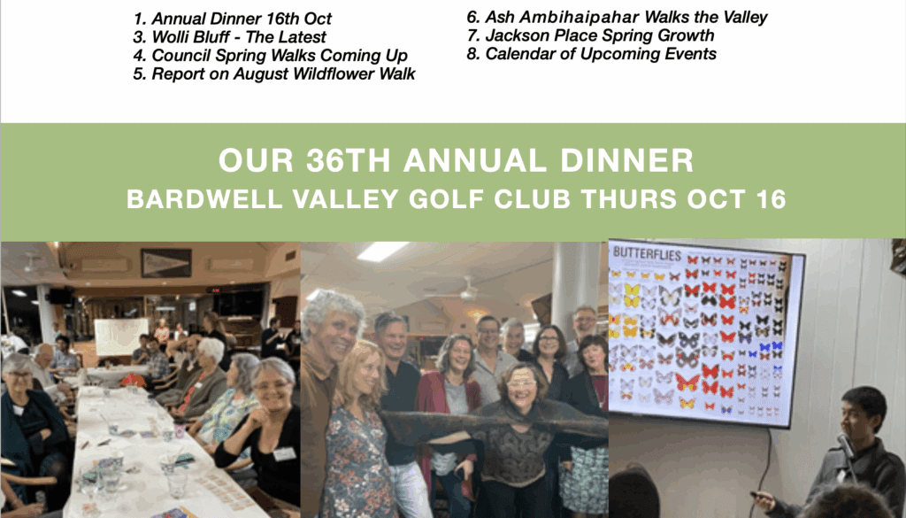 Sept Update 2025 header