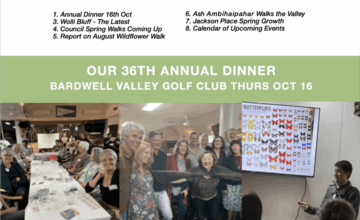 Sept Update 2025 header