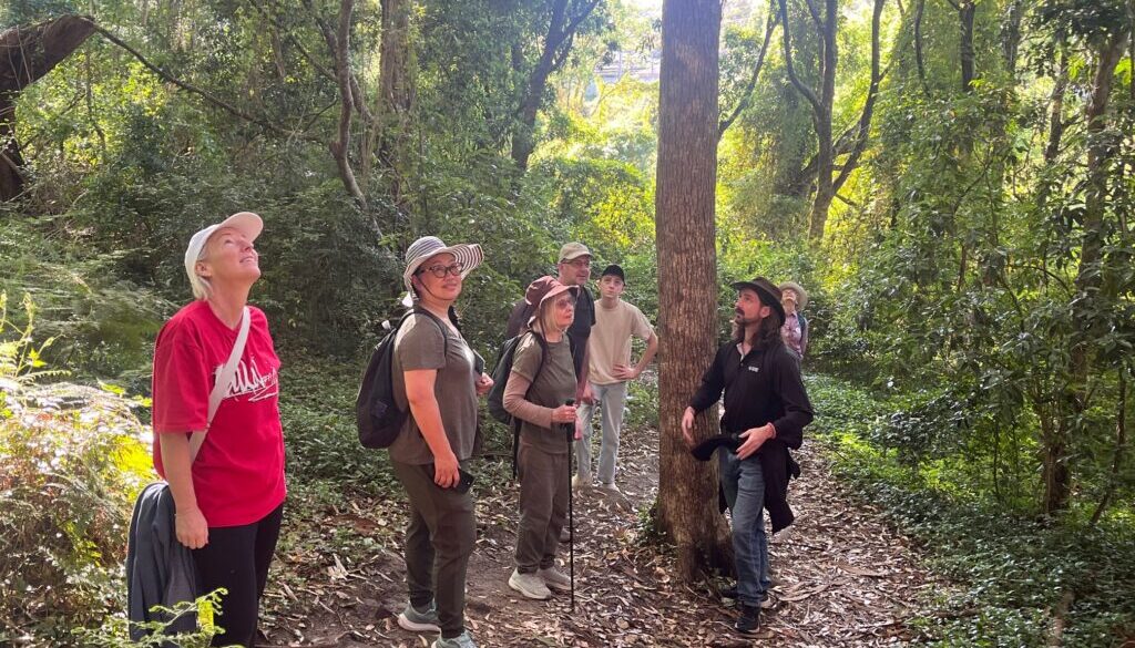 Guided walk in the valley Oct 2025