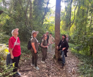 Guided walk in the valley Oct 2025