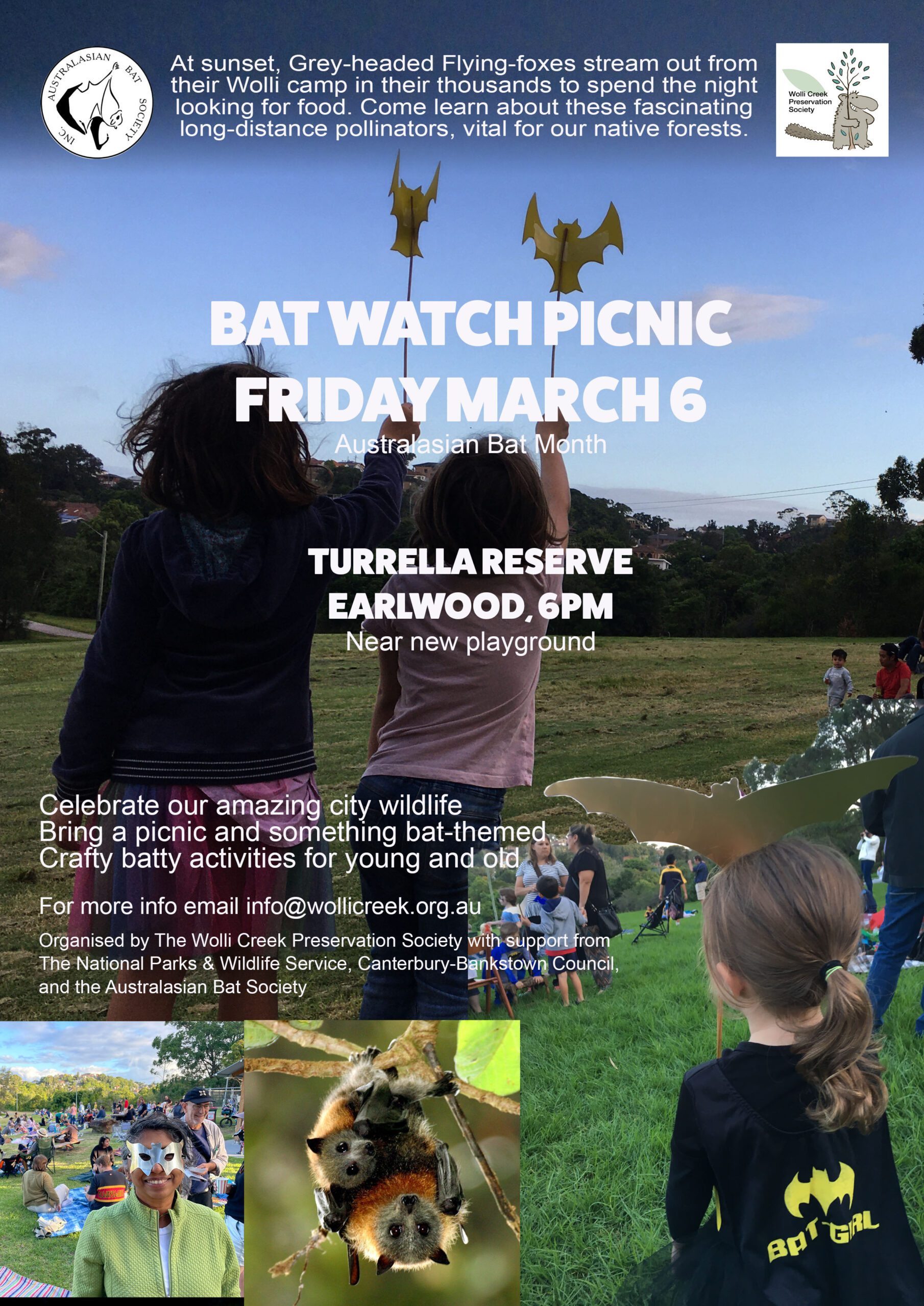 Bat Picnic poster 2026