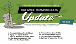 Feb thumbnail for blog