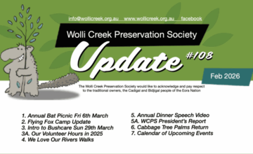 Feb thumbnail for blog