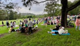 bat picnic panorama