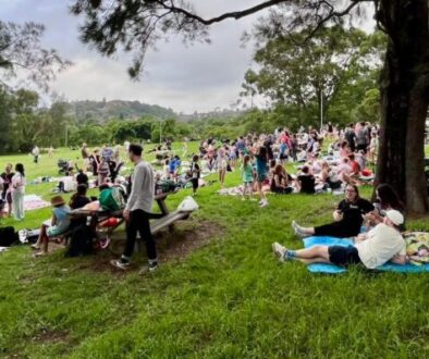 bat picnic panorama