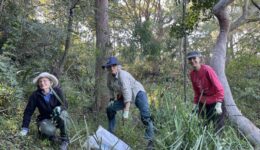 Bushcarers wolli bluff